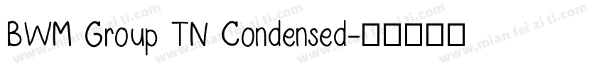 BWM Group TN Condensed字体转换